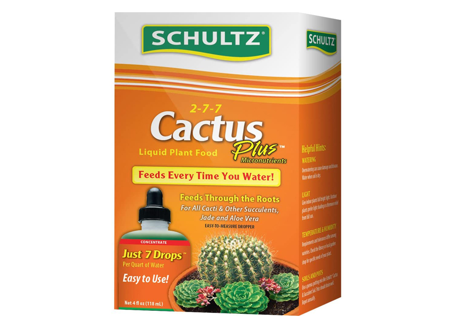 cactus food