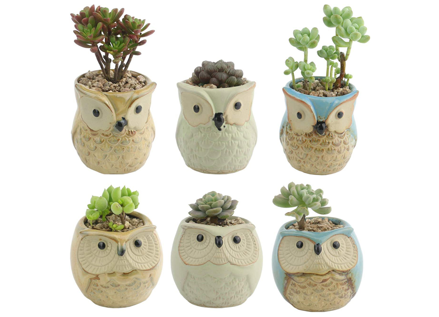 owl planters