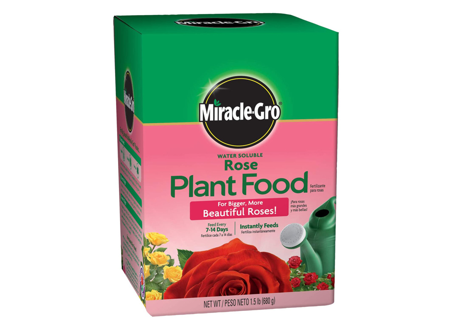 Rose Plant Food